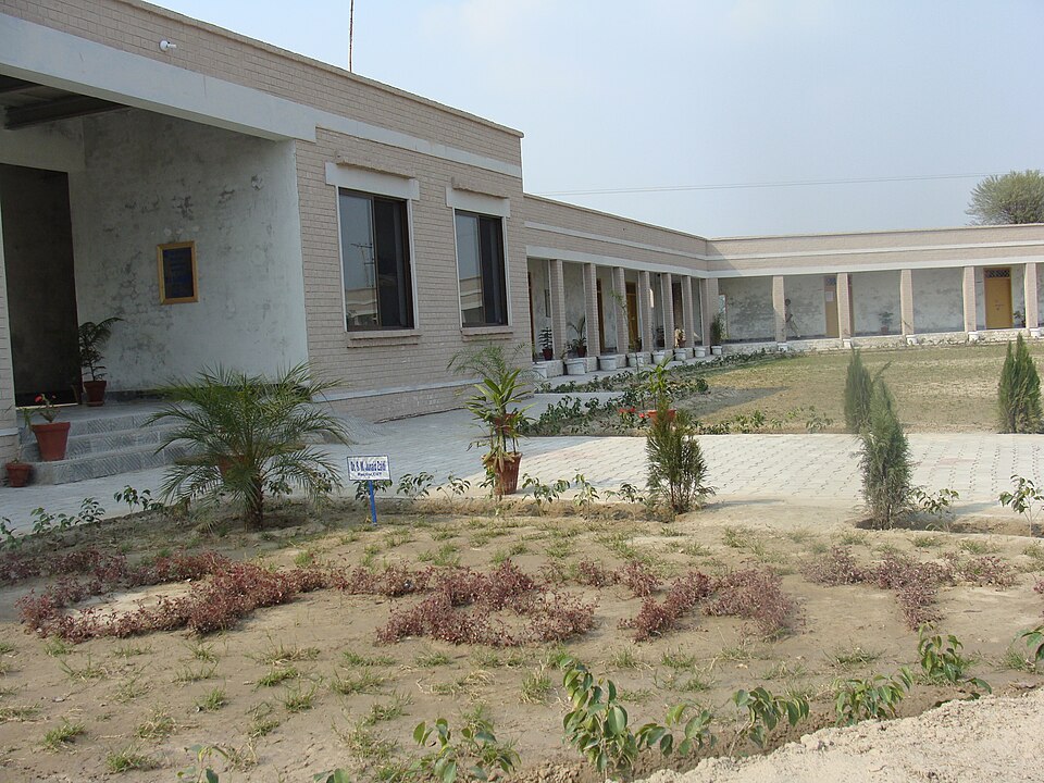 Vehari